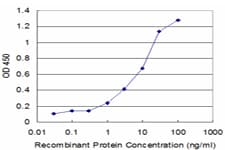 NUDT1 / MTH1 Antibody (clone 5F11)