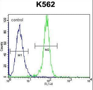 STUB1 / CHIP Antibody (aa236-263)