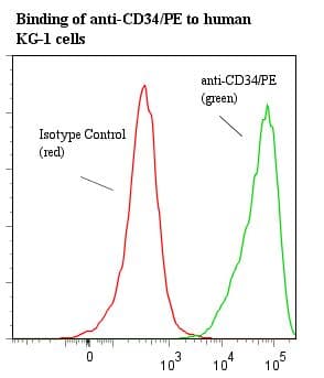Monoclonal Mouse anti-Human CD34 Antibody (clone 43A1, RPE, IHC, WB)
