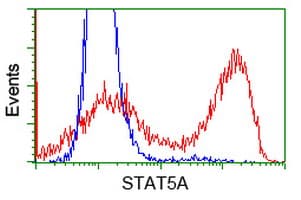 IHC-plus™ STAT5A Antibody (clone 4E7)