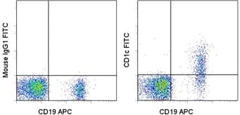 CD1C Antibody (clone L161, FITC)