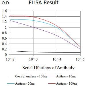 Monoclonal Mouse anti-Human FCAMR Antibody (clone 5B1D12E1, WB)