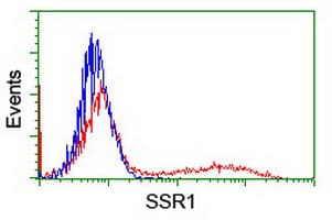 SSR1 Antibody (clone OTI3E5)