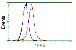 IHC-plus™ DPP4 / CD26 Antibody (clone 11D7)