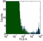 IHC-plus™ Monoclonal Mouse anti-Human FcERI / Fc Epsilon RI Antibody (clone AER-37 (CRA1), IHC)