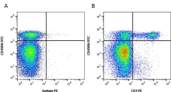 CD1 Antibody (clone 76-7-4, FITC)