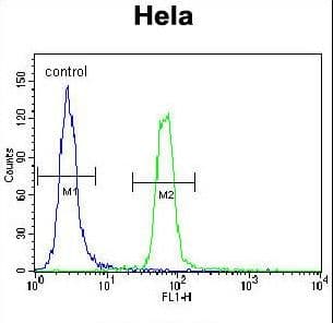 SUMO1 / SMT3 Antibody (aa55-86)
