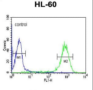 DLK2 Antibody (aa353-380)