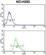KYNU Antibody (aa359-386)