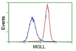 MGLL / Monoacylglycerol Lipase Antibody (clone OTI1C6)