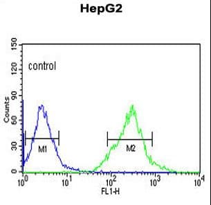 AFMID Antibody (aa57-83)