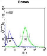 FCRL4 / IRTA1 / CD307d Antibody (aa480-507)