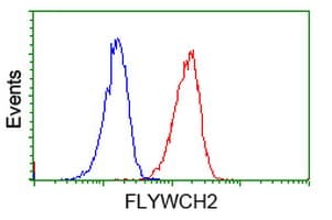 FLYWCH2 Antibody (clone OTI3G3, Carrier-free)