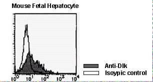 DLK1 / Pref-1 Antibody (clone 24-11)