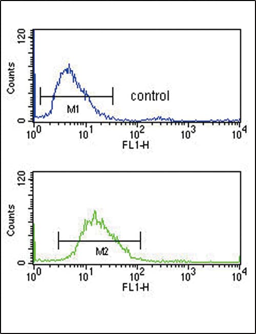 SERPINF1 / PEDF Antibody (aa9-36)