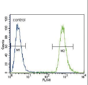 NEU2 / Sialidase 2 Antibody (aa23-50)