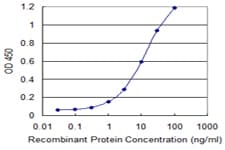 Monoclonal Mouse anti-Human UQCRH Antibody (clone 1D7, WB)