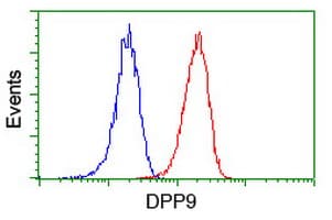 DPP9 Antibody (clone OTI4F1, Carrier-free)