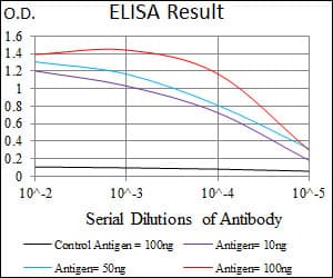 C17orf53 Antibody (aa282-527, clone 5F3H1)