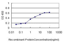 HOXC4 Antibody (clone 1E9)