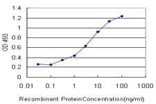 SLC15A1 / PEPT1 Antibody (clone 1F8)