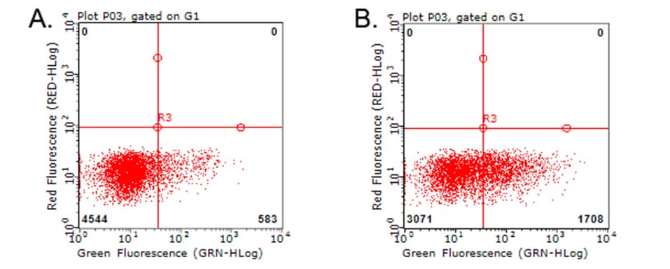 Monoclonal Mouse anti-Human TNFRSF9 / 4-1BB / CD137 Antibody (clone OTI7B6)