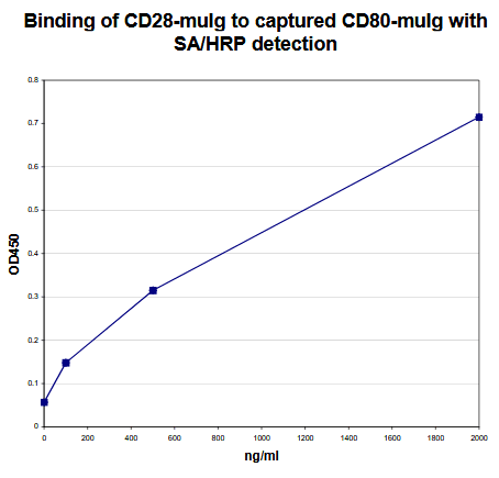 Human CD28 Protein (Recombinant)