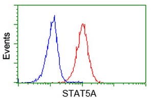 IHC-plus™ STAT5A Antibody (clone 4E7)