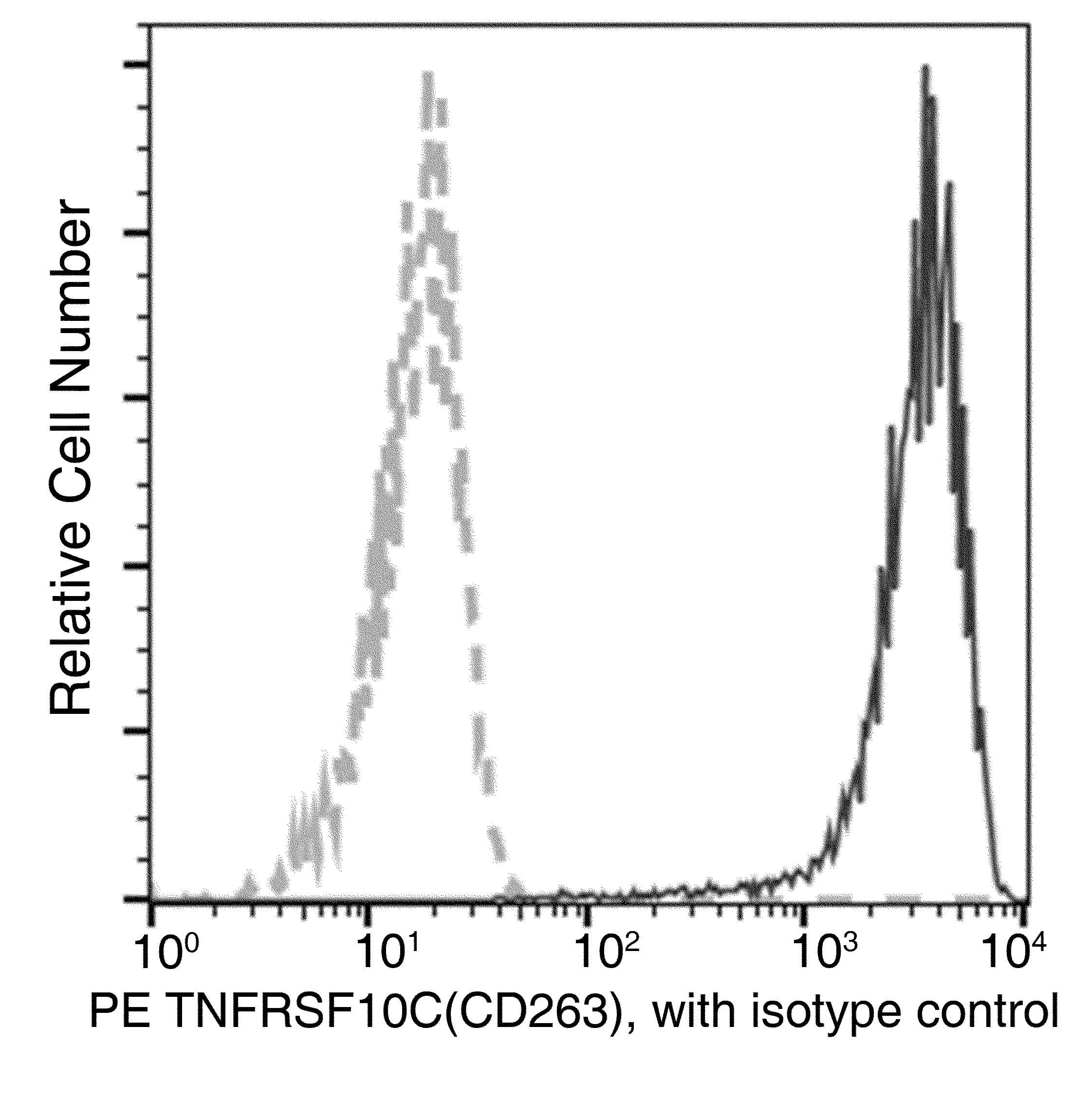 TRAIL-R3 / DCR1 Antibody (clone 003, PE)