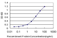 Monoclonal Mouse anti-Human HCLS1 Antibody (clone 1A8, IHC, WB)