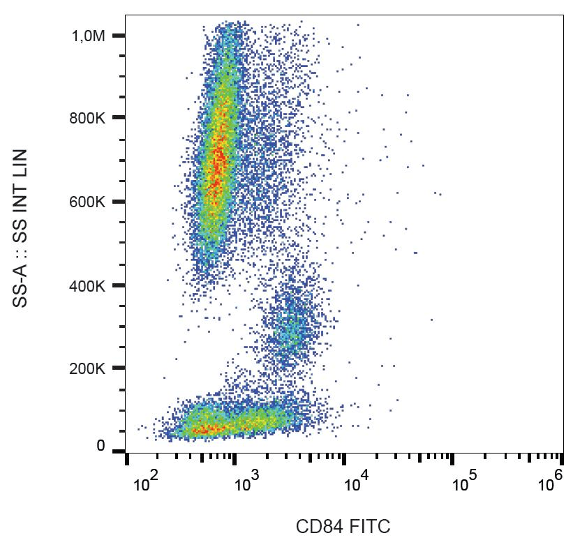 Monoclonal Mouse anti-Human CD84 / SLAMF5 Antibody (clone CD84.1.21, FITC)