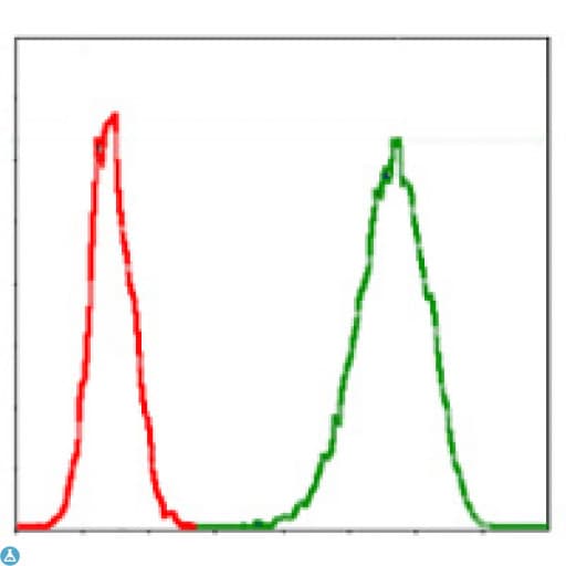 MCM2 Antibody
