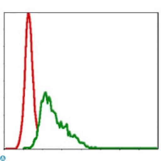 Monoclonal Mouse anti-Human UBE2I / UBC9 Antibody (IHC, IF, WB)
