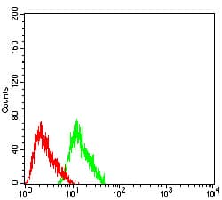 CHRNA7 Antibody (clone 7F10F1)