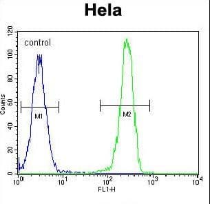GPR49 / LGR5 Antibody (aa443-473)