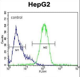 NANOG Antibody (aa15-49)