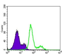 PDK1 Antibody (clone 4A11)