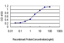 Monoclonal Mouse anti-Human GRID1 Antibody (clone 1A9, WB)