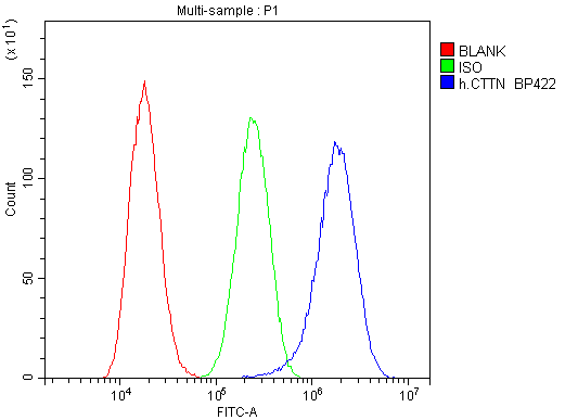 CTTN / Cortactin Antibody