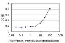 TTF2 / HuF2 Antibody (clone 3D11)