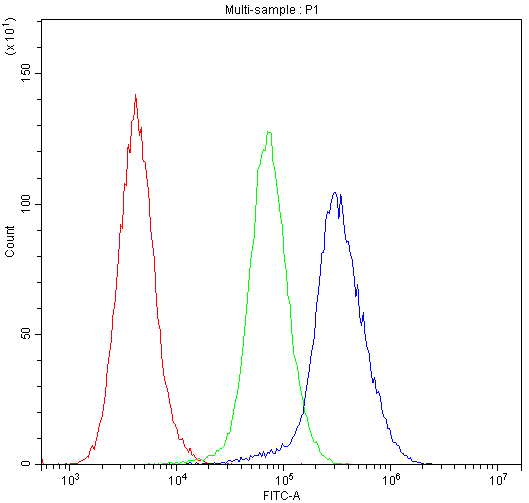 IDE Antibody