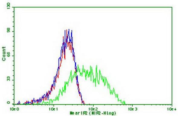 Monoclonal Mouse anti-Human PDCD1 / CD279 / PD-1 Antibody (clone OTI3A1, IF, WB)