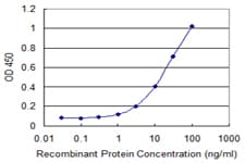 XTP4 / C17orf37 Antibody (clone 3B5)