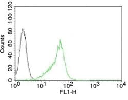 Nucleolar Antigen Antibody (clone NCM102-1)