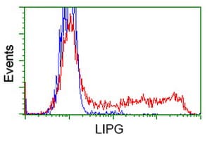 LIPG / Endothelial Lipase Antibody (clone OTI9F2, Carrier-free)