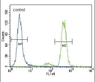 PRKCA / PKC-Alpha Antibody (aa299-329)