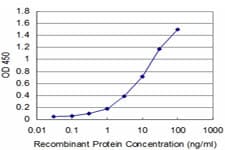 CTH / Cystathionase Antibody (clone S51)