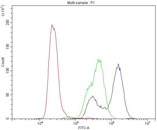 CA2 / Carbonic Anhydrase II Antibody