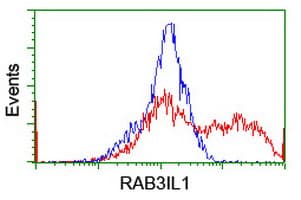 GRAB / RAB3IL1 Antibody (clone OTI1B5)