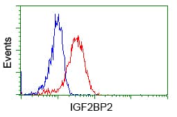 IGF2BP2 Antibody (clone OTI1F9, Carrier-free)